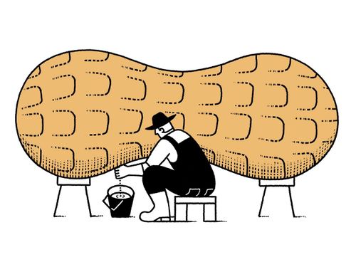 A History of Alt-Milk