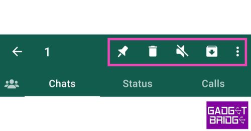 Pin, Bin, Loudpseaker, and Folder icons what does each icon and symbol mean on whatsapp