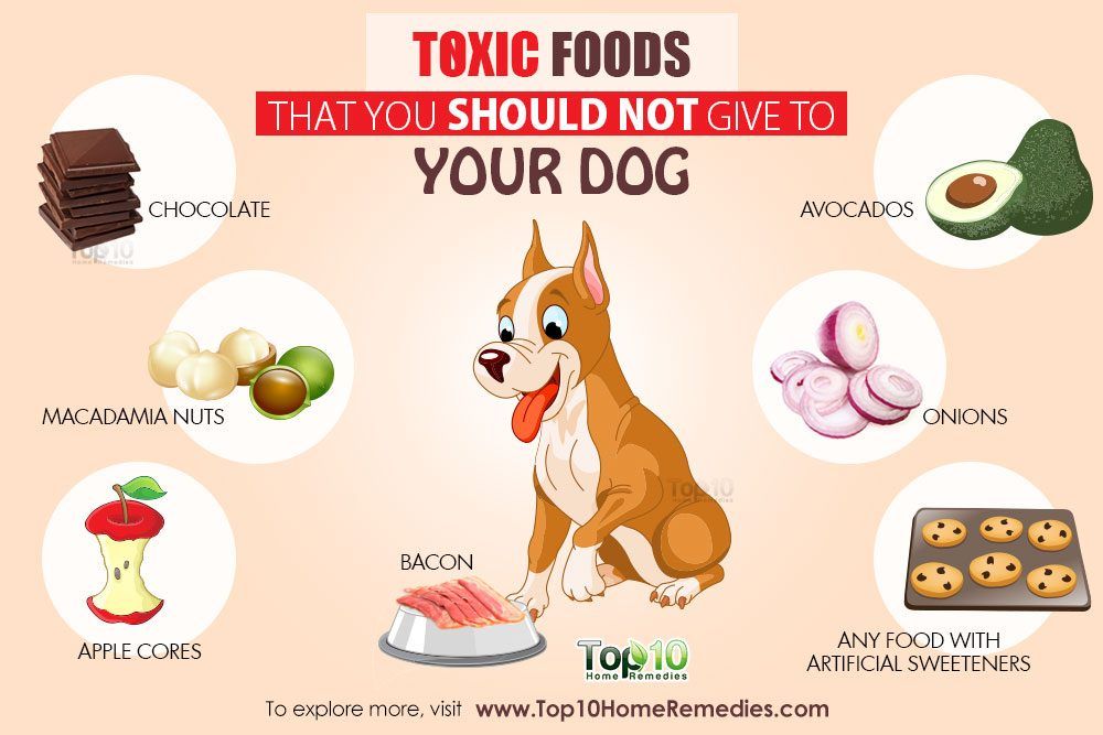 dangerous foods for dogs