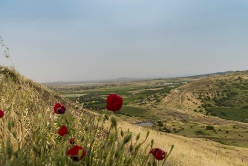 Grensen mellom Syria og Israel