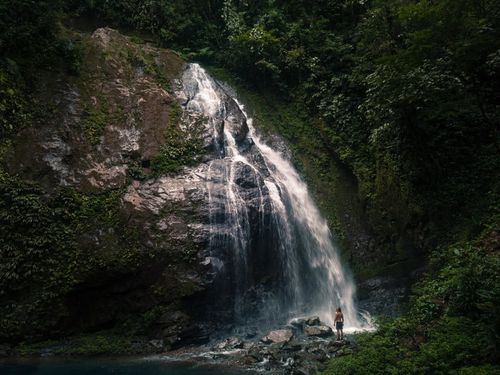 Trip Summary image 3