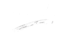 Locals Surf School - BEST Surf Lessons & Camps in NYC