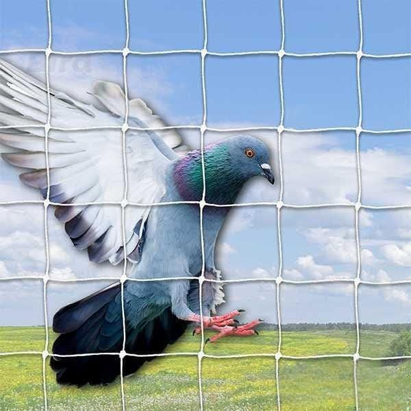 Pigeon Safety Nets