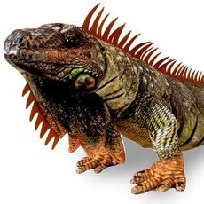 Real Planet 42" Iguana Stuffed Animal - Lizard Stuffed Animals for Kids Toys, Over 3 Feet Giant Iguana Plush Reptile Toy, Large Desert Animal, (Brown 42")