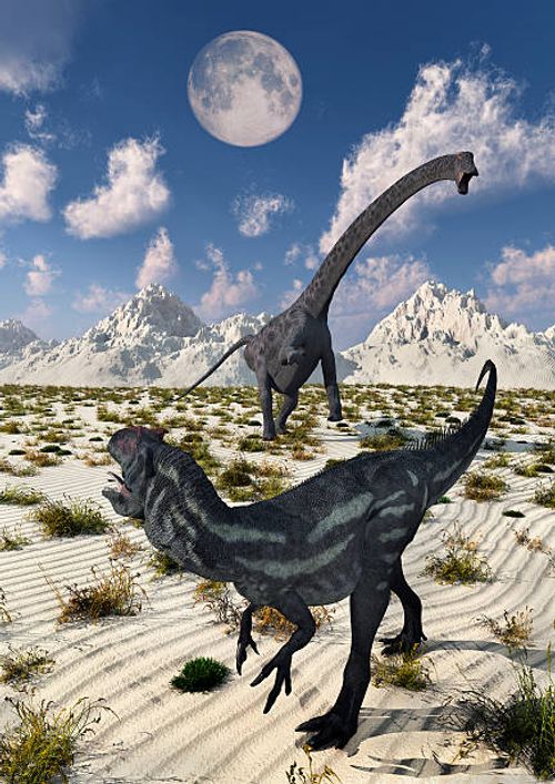 a carnivorous allosaurus confronting a giant diplodocus. - dinosaurs fighting stock illustrations