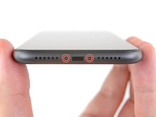 iPhone 11 Rear-Facing Cameras Replacement, Remove the pentalobe screws: step 1, image 1 of 2