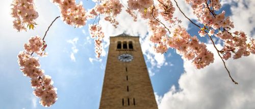 留学圈大变天!哥大/杜克等32所美国大学被告上法庭,ED政策凉凉了?附真题备考资料免费下载领取!