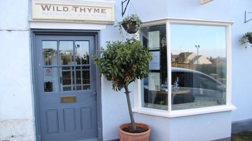 Wild Thyme