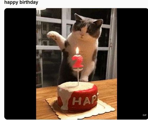 happy birthday gif free download reddit