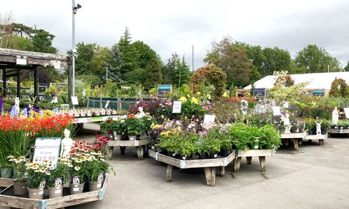 The Nursery