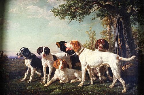 pack of hounds at rest - pack of hounds stock illustrations