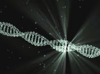 Eight-letter DNA alphabet is accurately transcribed by a natural enzyme - Phys.org