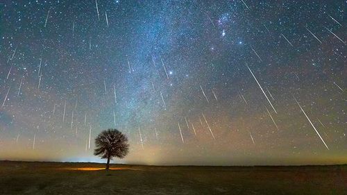 How to Watch the Geminids Meteor Shower&-the Most Spectacular of the Year