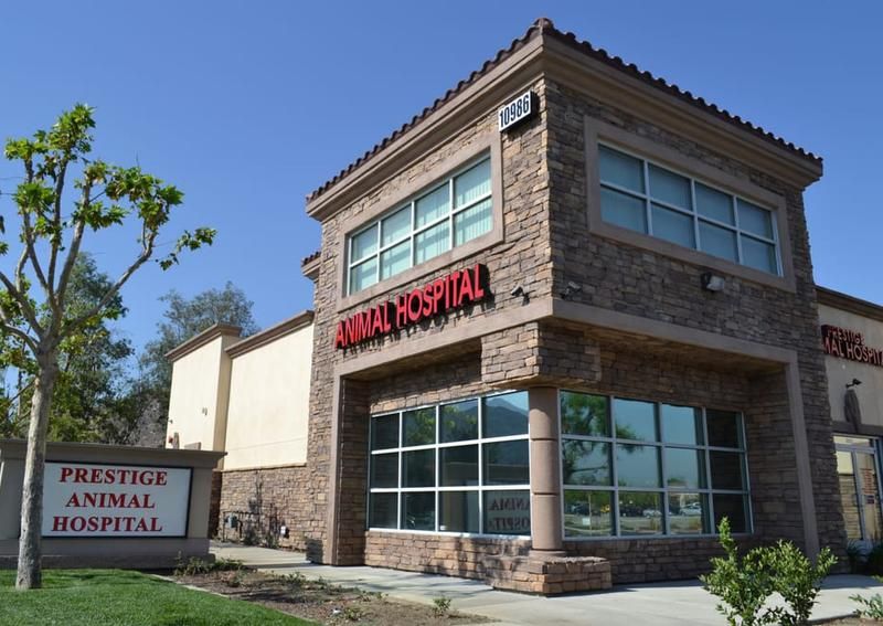 Carousel Slide 4: The Prestige Animal Hospital building in South Fontana