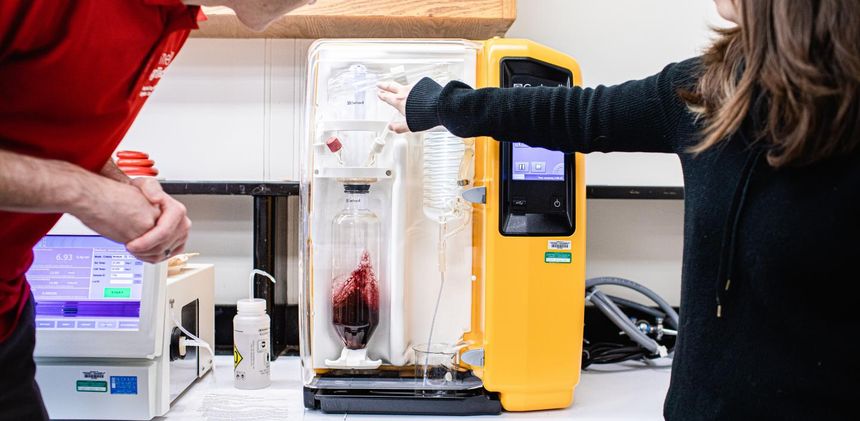 Analyzing wine in a lab setting.