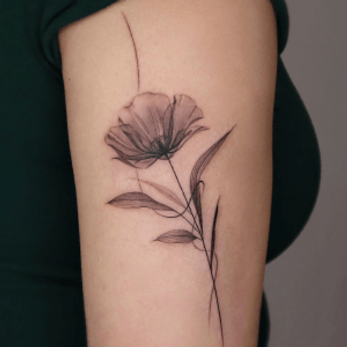 Screenshot 2024-07-02 at 1.48.38 PM