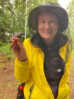 Guest Column | I put a tiny backpack on a warbler. It revealed an epic migration. - The Washington Post