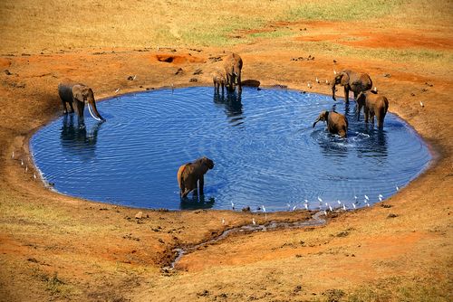 Red earth landscape of Tsavo