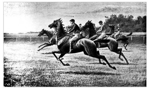 antique hobbies and sports illustration: horse racing - vintage horse racing stock illustrations