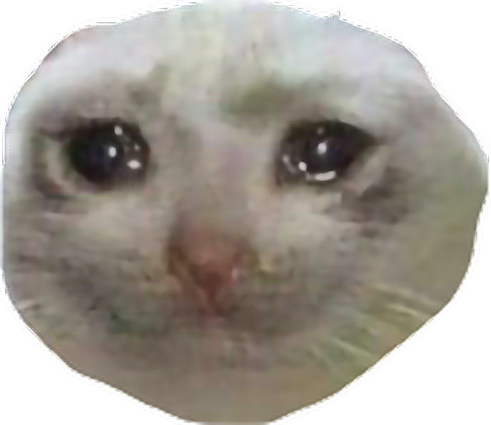 Why he sad? meme memes edgymemes cat sadcat freetoedit...