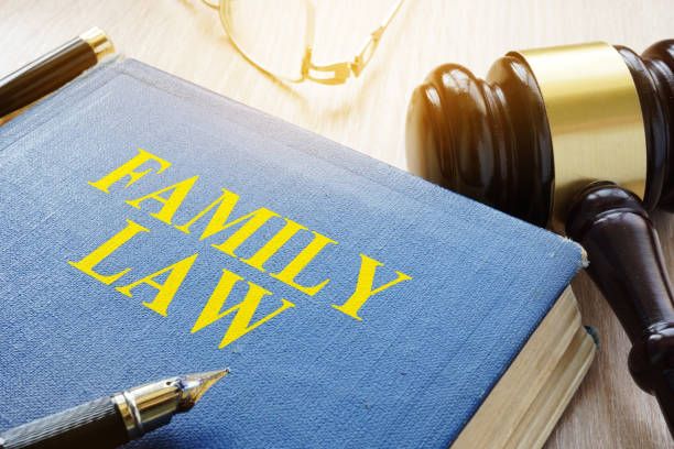Mediation vs. Litigation in Family Disputes: Choosing the Right Path