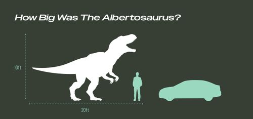 Infographic comparing the size of an Albertosaurus to a car and a human