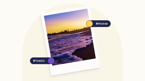 Two color combinations purple and yellow