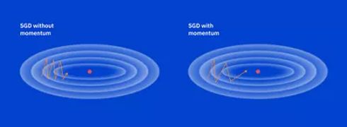 有无动量的 SGD