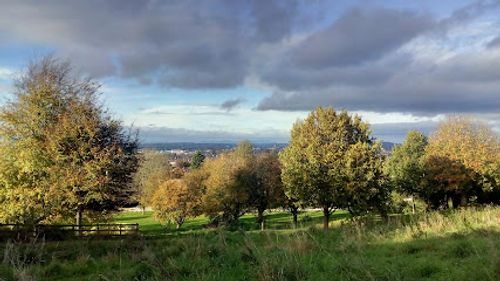 Griffiths Avenue Local Nature Reserve