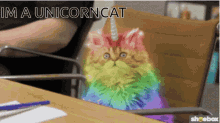 LWNhdC5naWY.gif