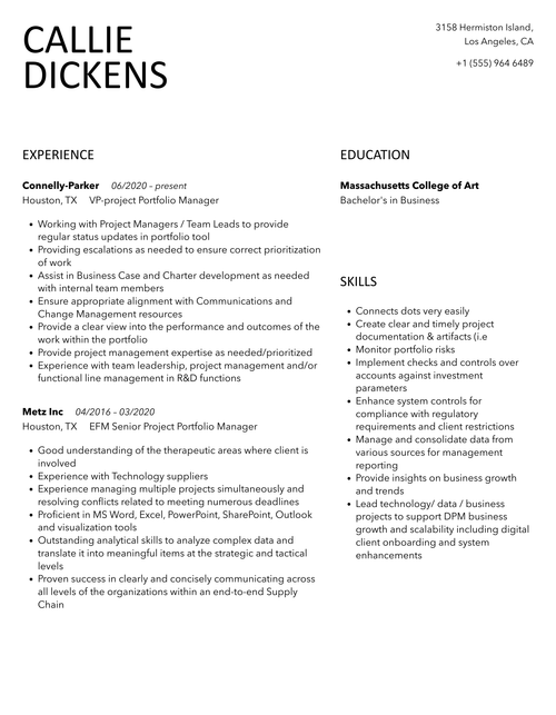 Project Portfolio Manager Resume Sample