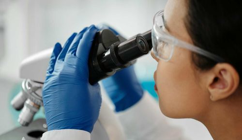 What does BSc involve?