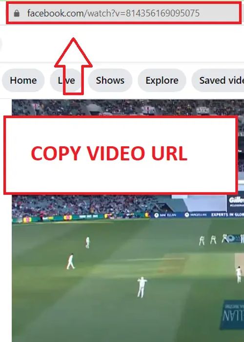 Copy BILIBILI Video URL OR Copy Video Address
