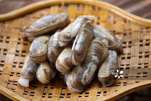 海鲜贝类蛏子图片素材