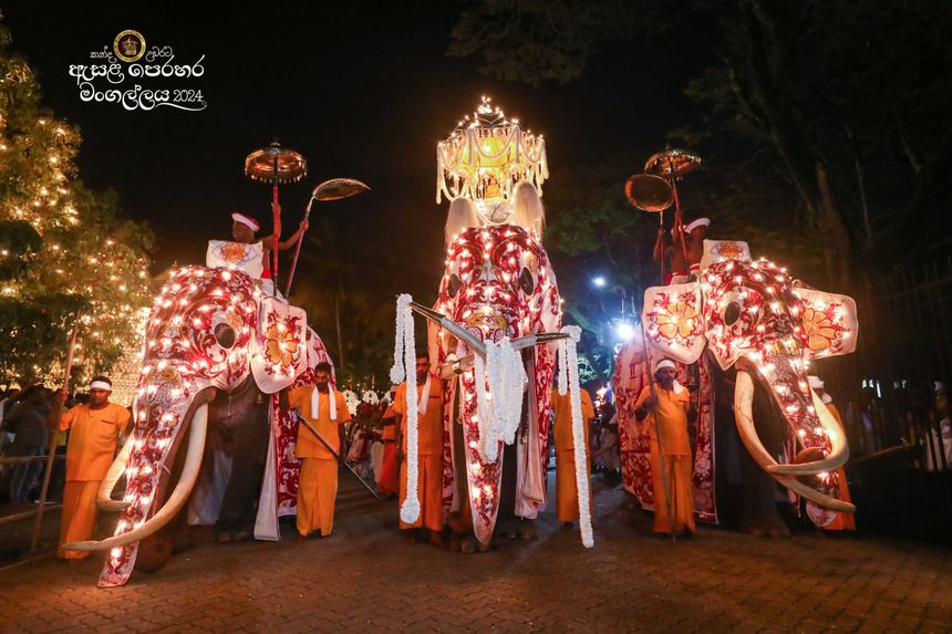 Kandy Perahera Elephants