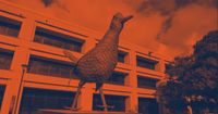Check Your Status - UTSA Admissions