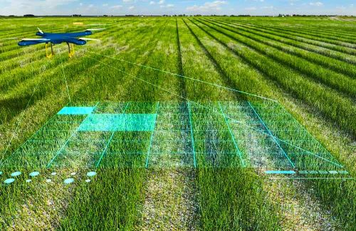 Agricultura algorítmica: cultivos que se autoregulan con IA