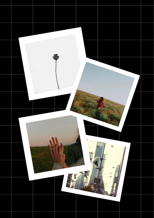 Free Recap Memories Photo Collage Template to Edit Online