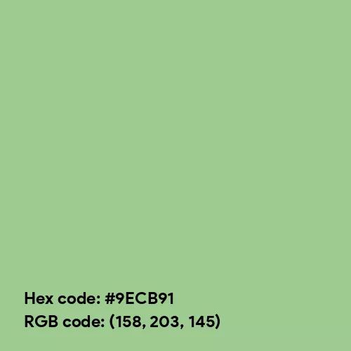 Pastel Grass Green (Hex code: 9ECB91) Color Thumbnail