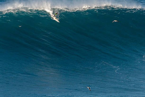 surfer rides huge wave in nazaré - big-waves stock pictures, royalty-free photos & images