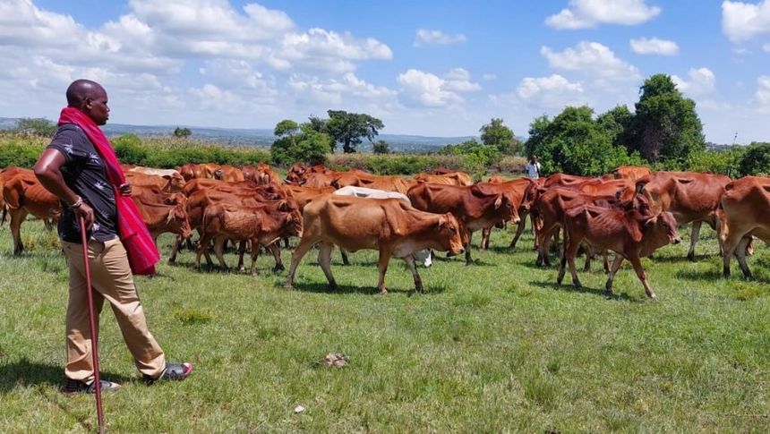 Green pastures Naivasha Rift Valley