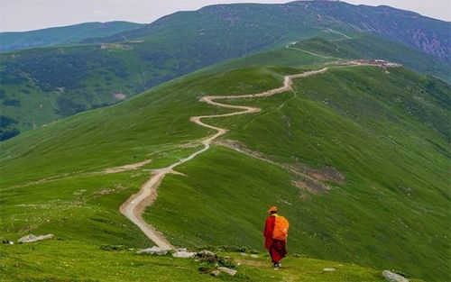 Ancient stone steps leading to the summit of Mount Tai, blending history and nature