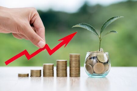 Monedas y plantas de crecimiento de dinero para finanzas y banca, ahorro de dinero o concepto de aumento de intereses, crecimiento empresarial Foto de stock