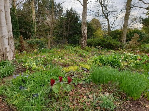 Alpine Garden Society