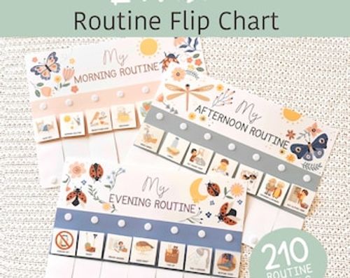 Kids Routine Chart, Editable Toddler Flip Chart 210 Routine Labels, Morning Afternoon Evening Visual Schedule Daily To Do List