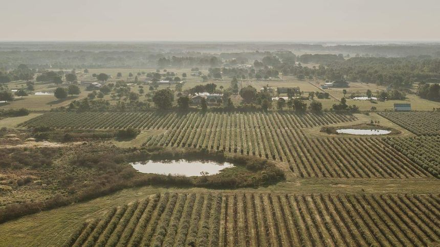 Cropland in rural America.