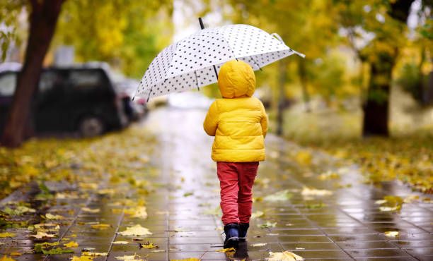 Little child walking in the city park at rainy autumn day Little child walking in the city park at rainy autumn day. Toddler boy with umbrella for fall weather walking in the rain stock pictures, royalty-free photos & images
