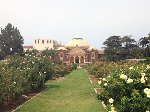 view of Natural History Museum across rose garden