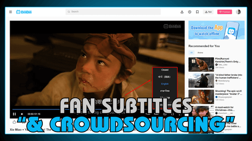 Fan Subtitles & Crowdsourcing