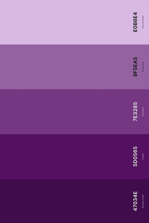 an image of the color purple in different shades